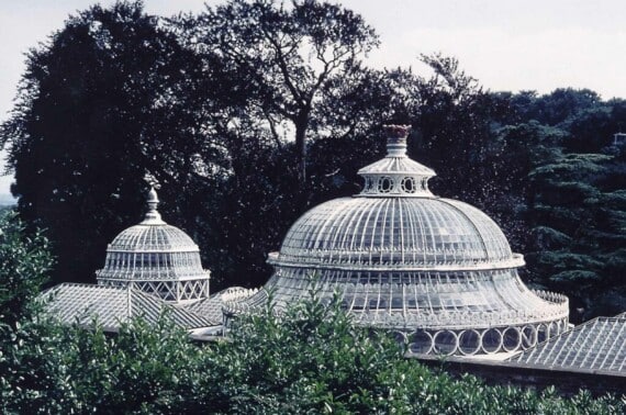The Craft of the Glassmaker- From Alton Towers to Temperate House
